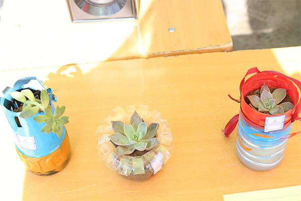 我院成功举办植树节活动