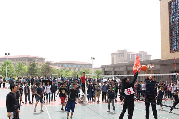 我院喜获太阳成城集团男子排球赛季军